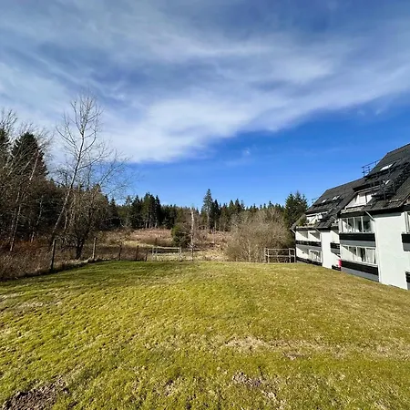 Ferienwohnung Waldgaenger Hahnenklee Goslar Exterior photo