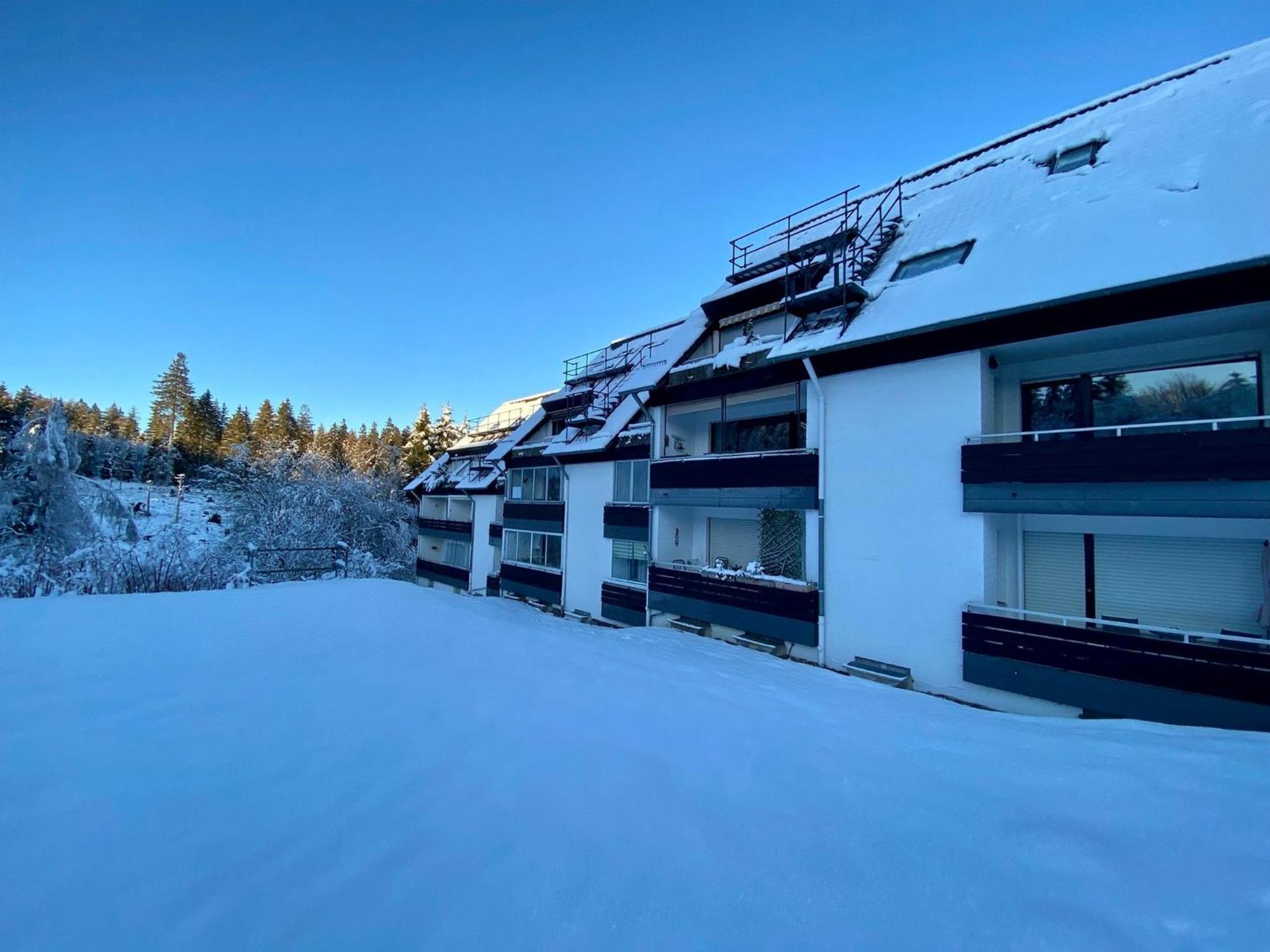Waldgaenger Hahnenklee Goslar