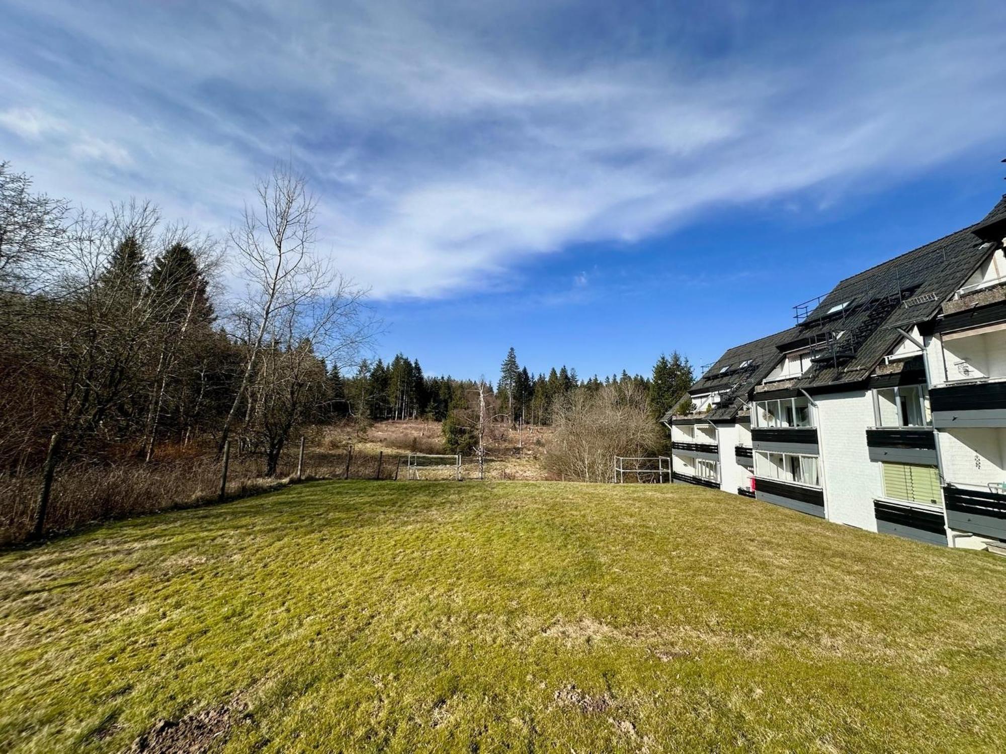 Waldgaenger Hahnenklee *