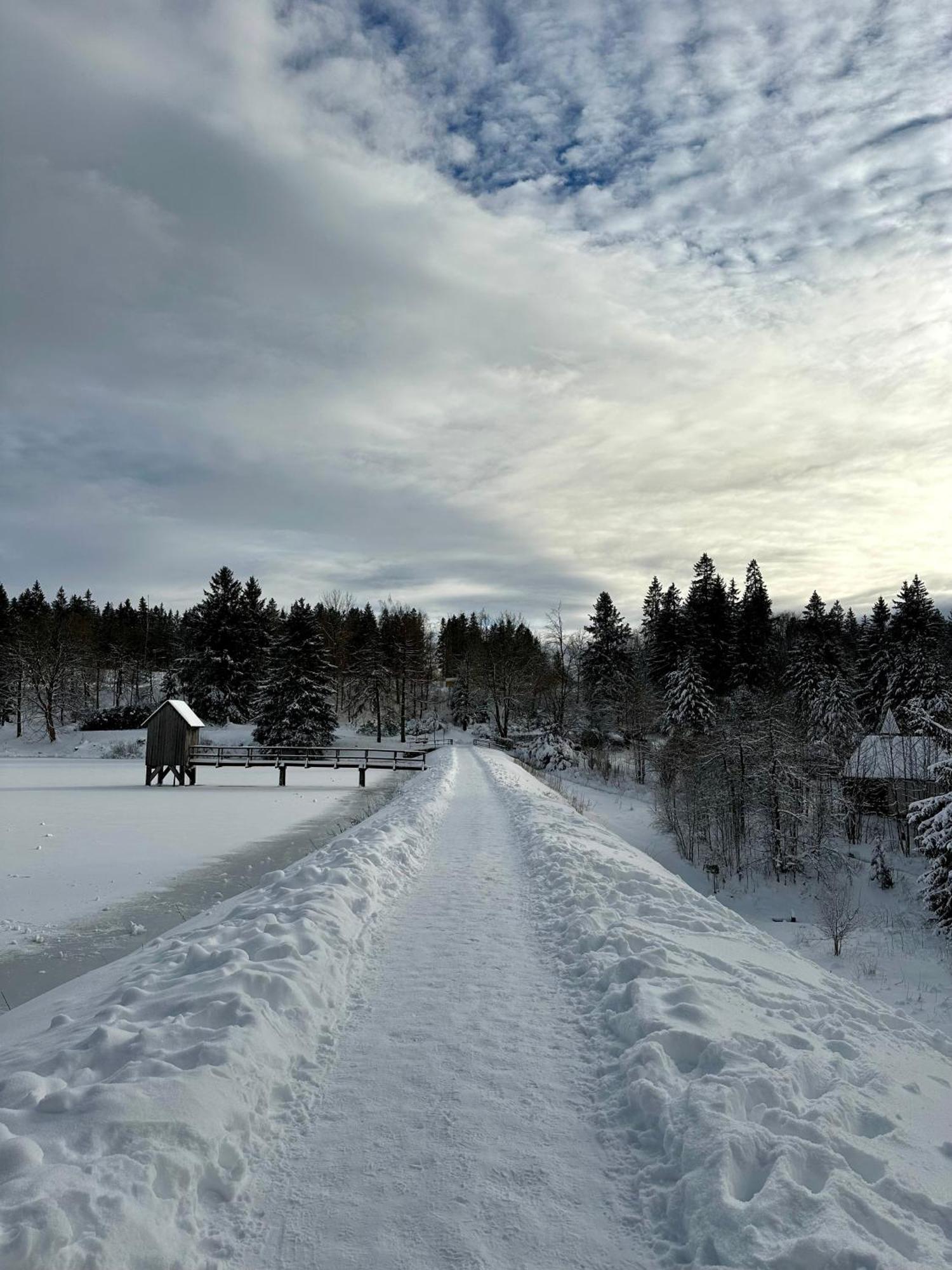 Waldgaenger Hahnenklee *