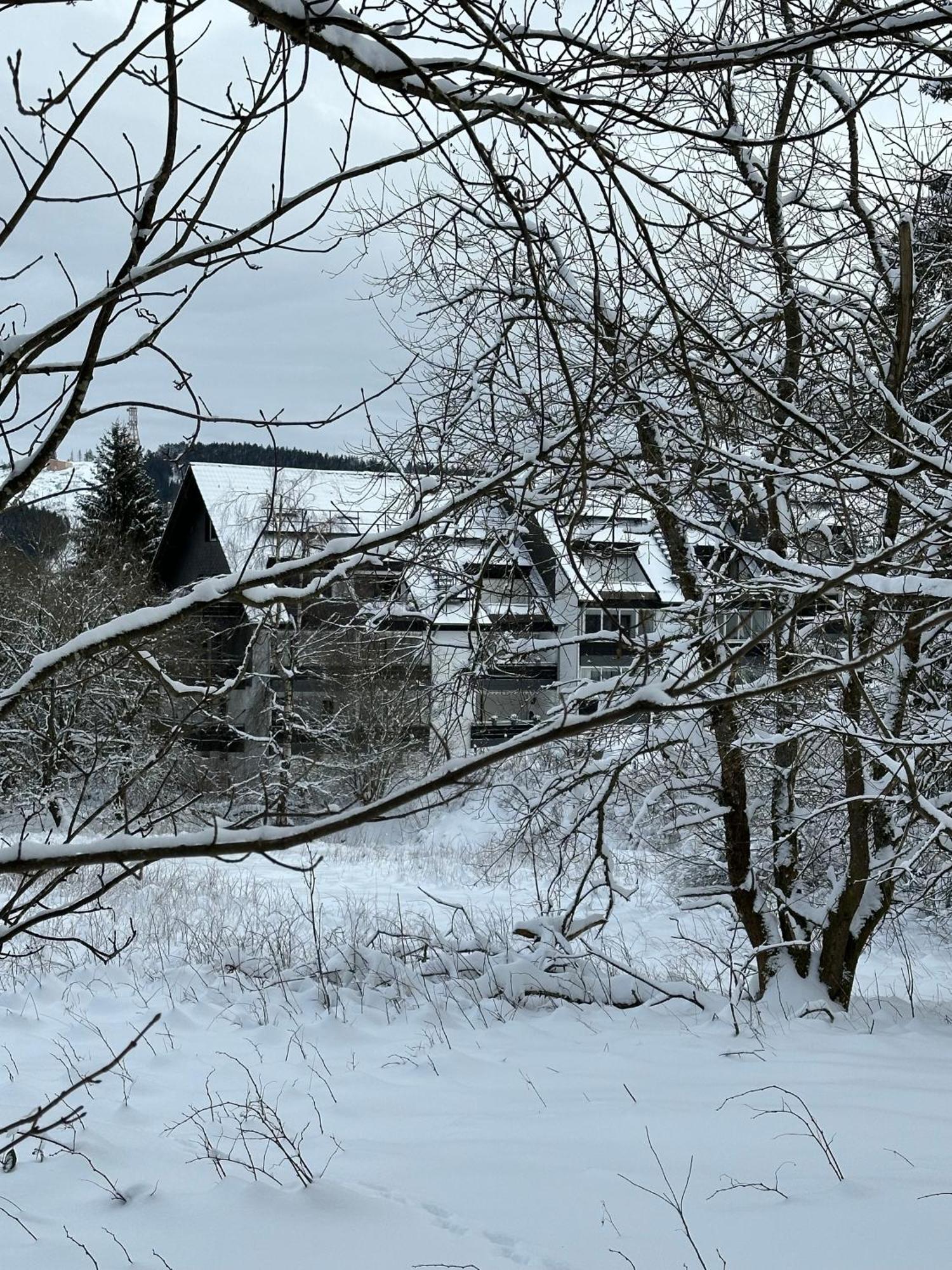 Waldgaenger Hahnenklee Apartment