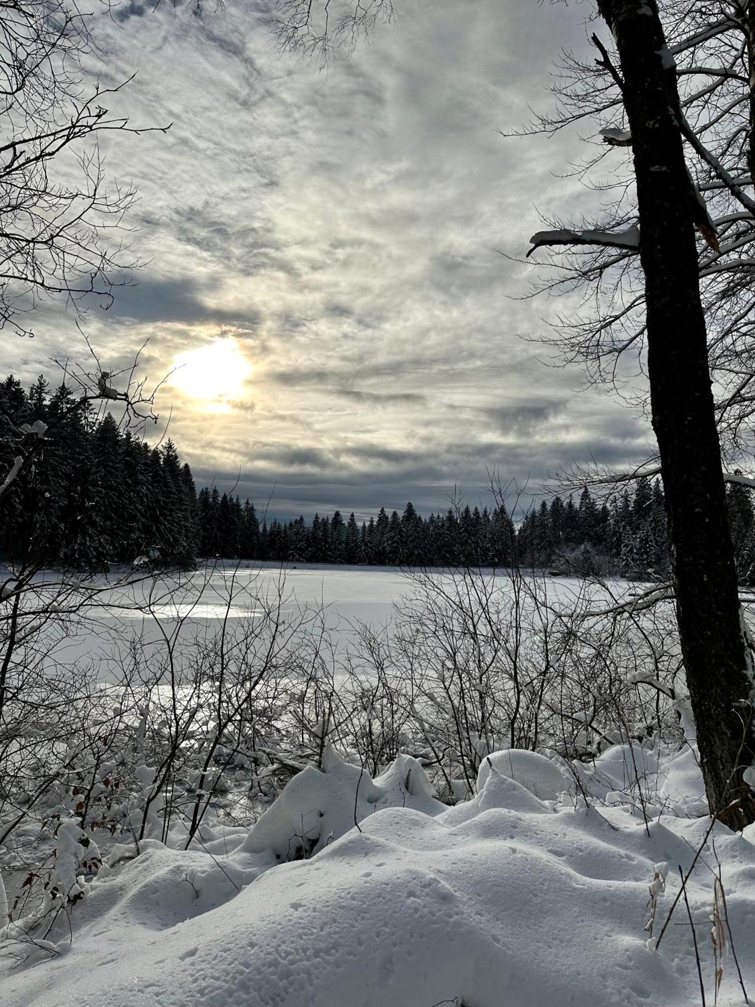 Waldgaenger Hahnenklee