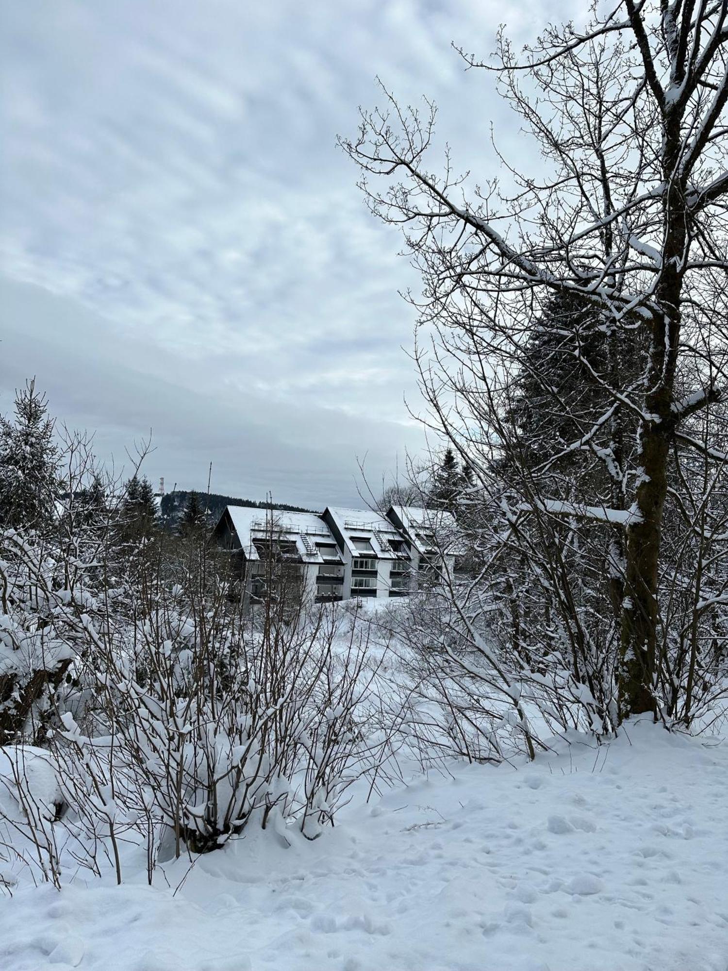 Waldgaenger Hahnenklee Apartment